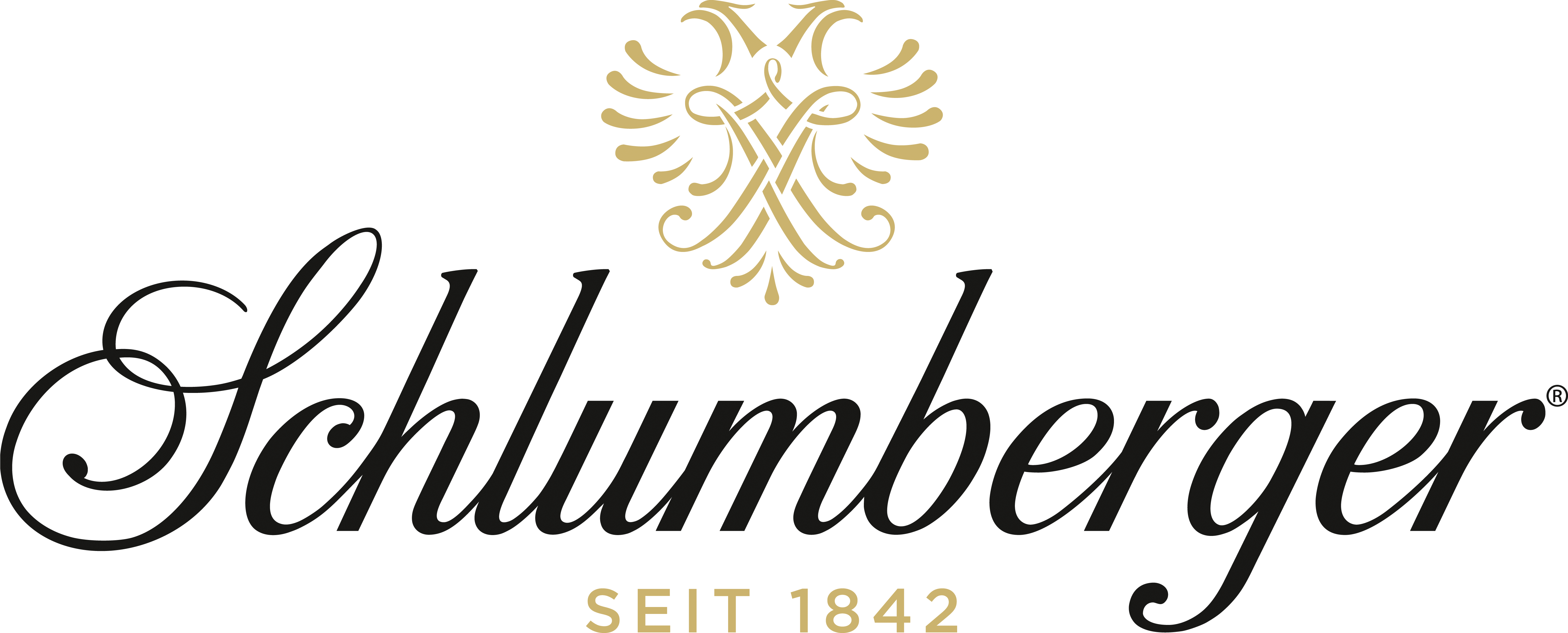 Schlumberger Logo